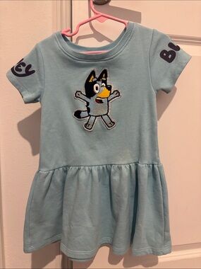 Bluey dress